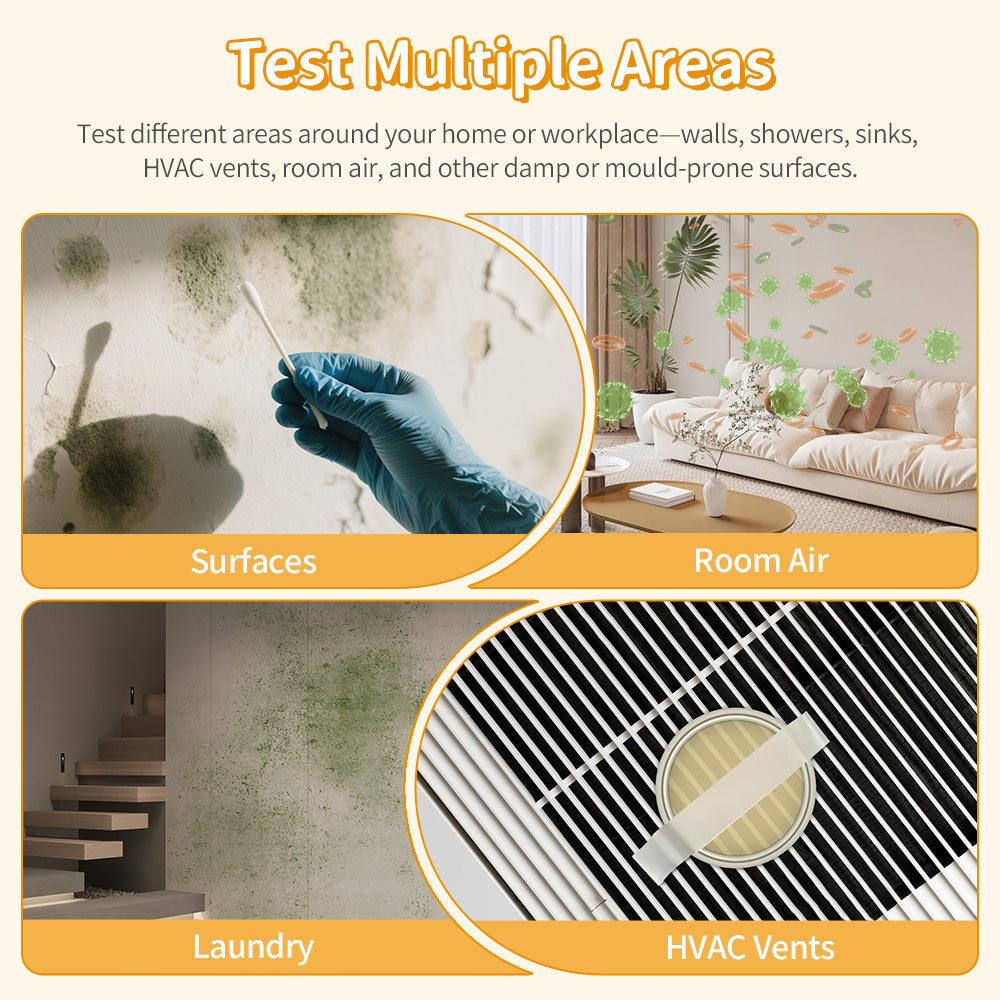EzyTest Mould Test Kit (1 Test) – 48hr Home Mould Detection for Air & Surfaces + A/C Vent Sampling – Includes Mould Photo Identification Guide